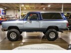Thumbnail Photo 10 for 1984 Dodge Ramcharger
